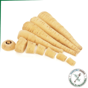 Tisztított Fehérrépa (karika,kocka)