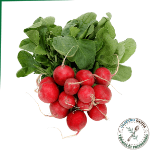 Hónapos retek (magyar)