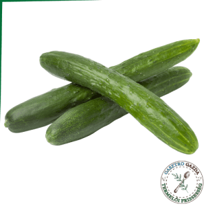 Kígyó Uborka (II.oszt)