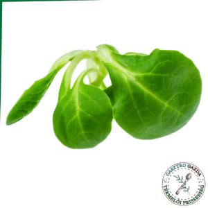 Madársaláta (100g)