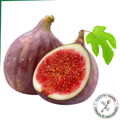 Füge (extra, import )