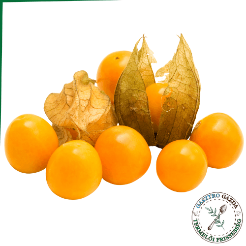 Physalis
