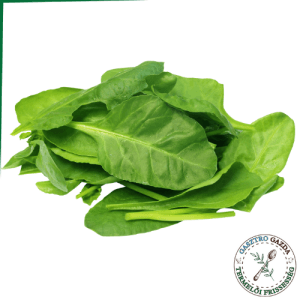 Bébi Spenót (100g)