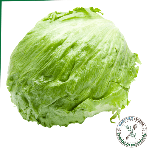 Jégsaláta (import)