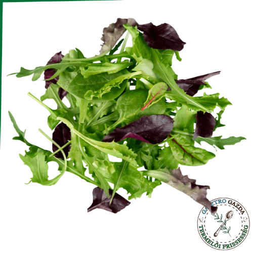 Miskulancia Mix Saláta (100g)