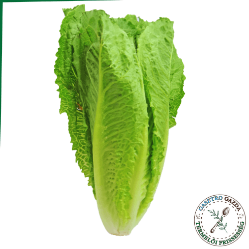 Római Saláta (magyar)